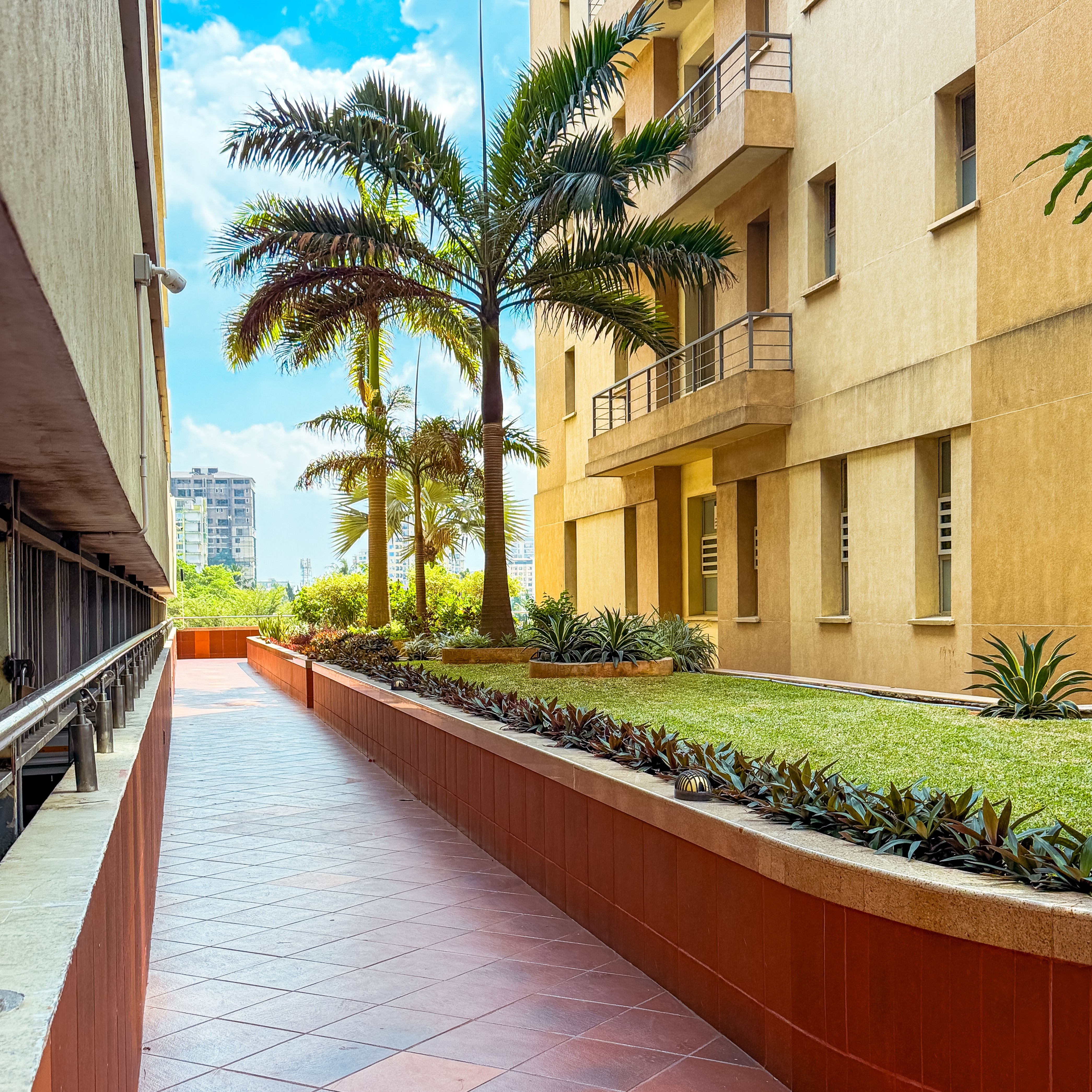 Walking and Jogging Track